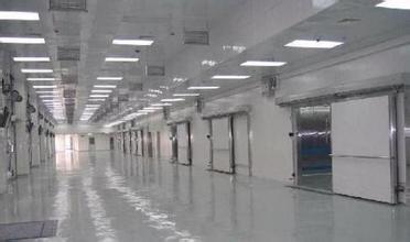 疫苗冷庫實(shí)拍 疫苗冷庫實(shí)拍